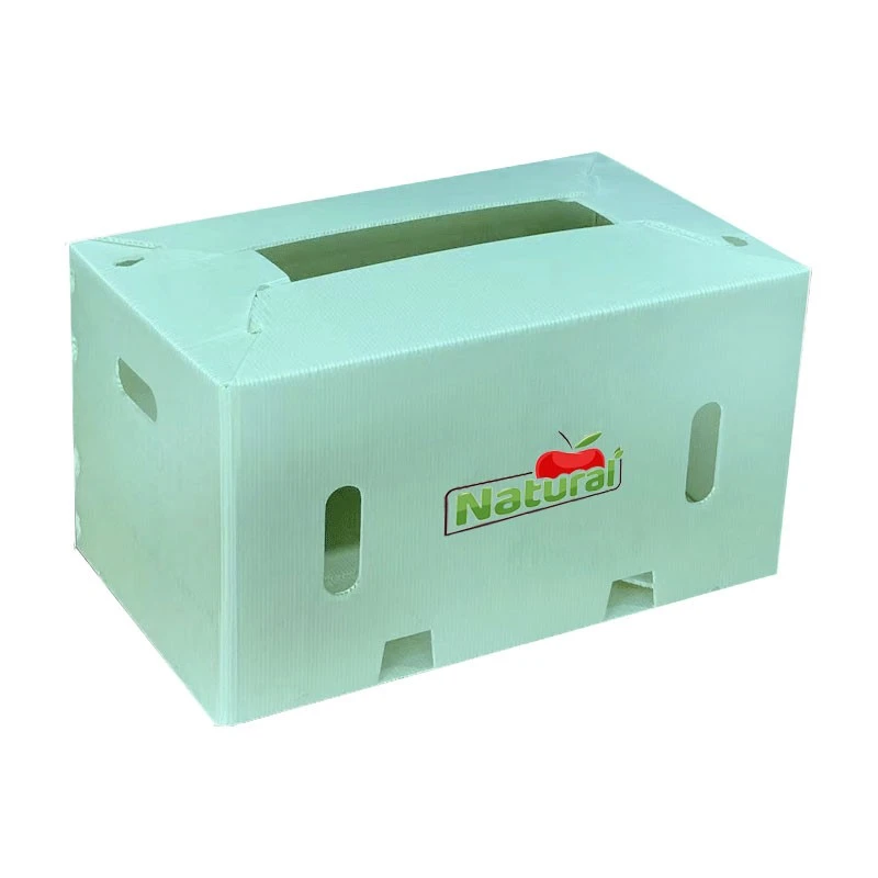 PP Vegetable Box suppliers