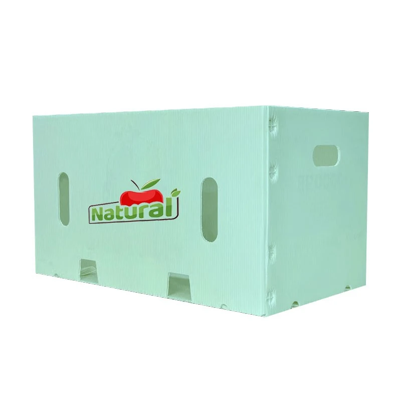 PP Vegetable Box factory